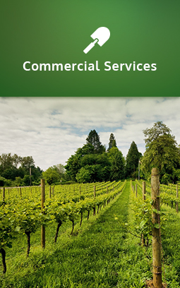 A vineyard with lush grounds. Click to learn more about commercial services.