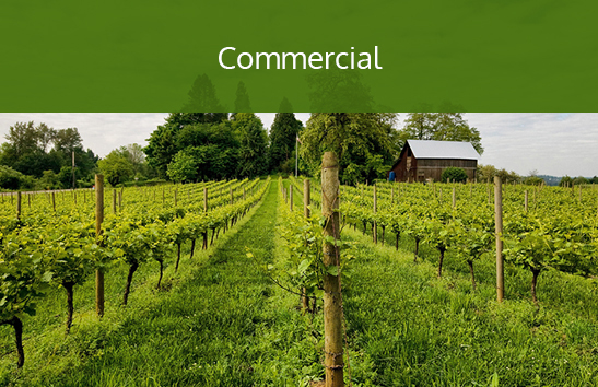 A vineyard with beautiful grounds. Click to learn more about commercial services.