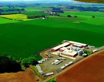 An areal view of Ioka Farms.