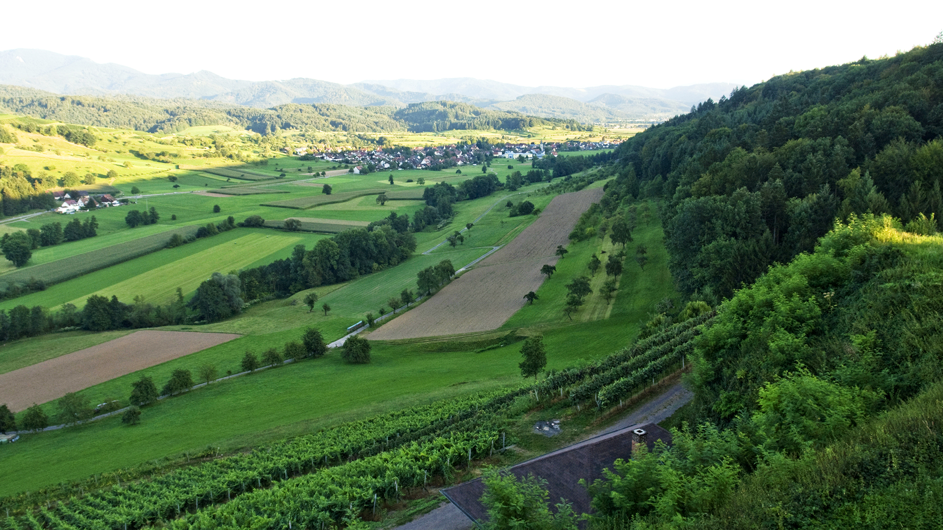 Farm landscape